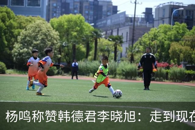 杨鸣称赞韩德君李晓旭：走到现在他们功不可没